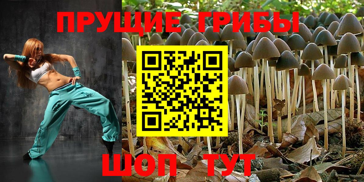 Псилоцибиновые грибы MAGIC MUSHROOMS Кудрово