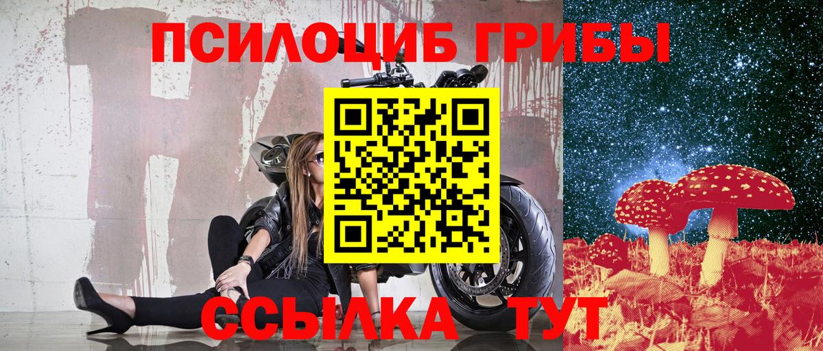Кудрово  Псилоцибиновые грибы мухоморы  Вход с VPN 